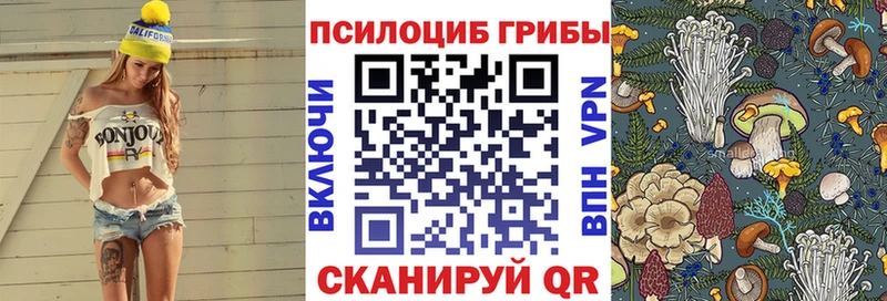 Галлюциногенные грибы Psilocybe  Купить закладки  Заполярный 